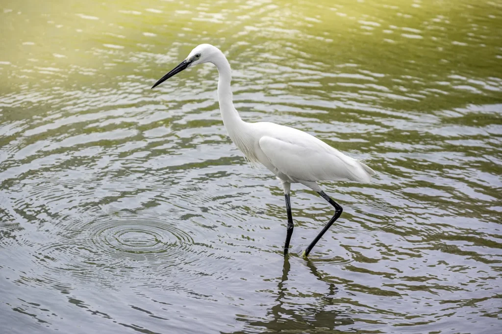 Bangkok, Lumphini-Park