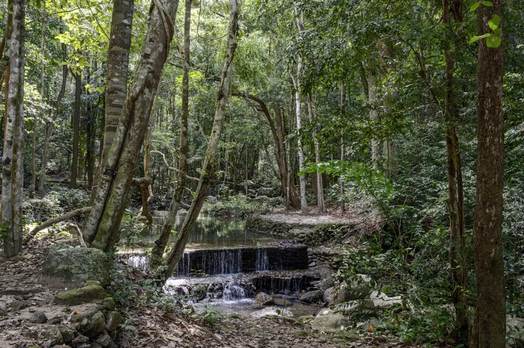 Koh Phangan, Roller Route Tempel und Strände im Norden, Phaeng Wasserfall