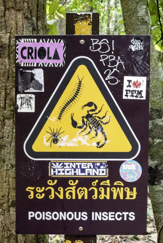 Koh Phangan, Roller Route Tempel und Strände im Norden, Phaeng Wasserfall