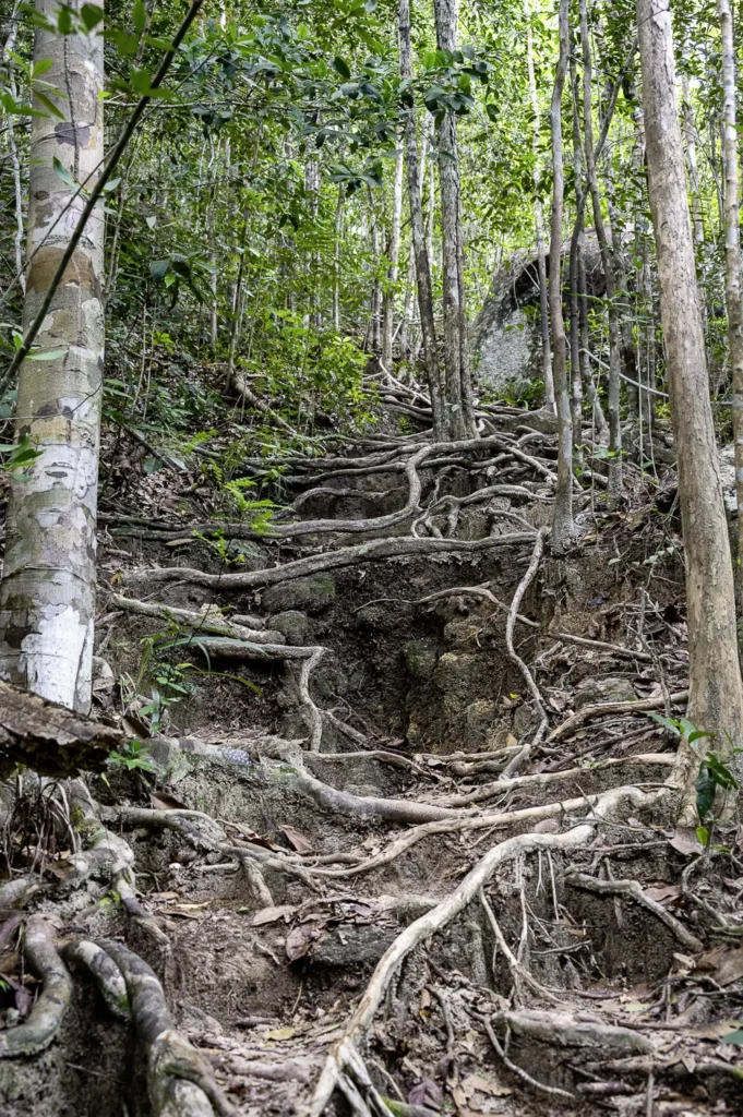 Koh Phangan, Roller Route Tempel und Strände im Norden, Phaeng Wasserfall