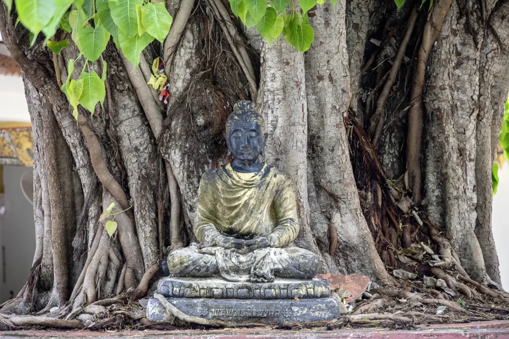 Koh Samui, Roller Route Ostküste, Wat Sila Ngu
