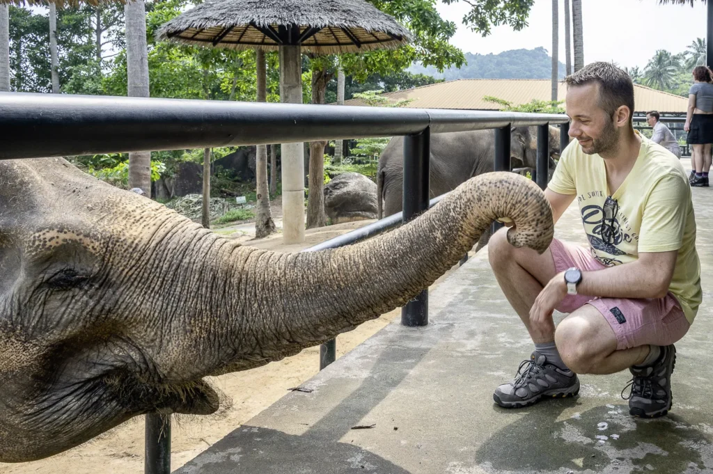 Koh Samui, Samui Elephant Santuary Bophut