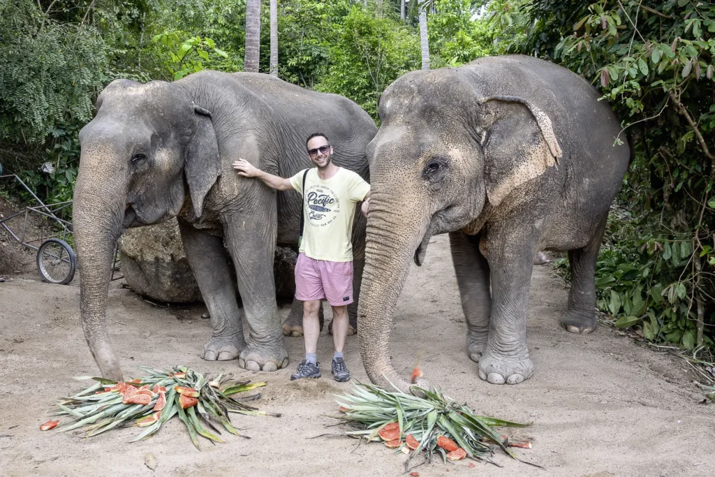 Koh Samui, Samui Elephant Santuary Bophut