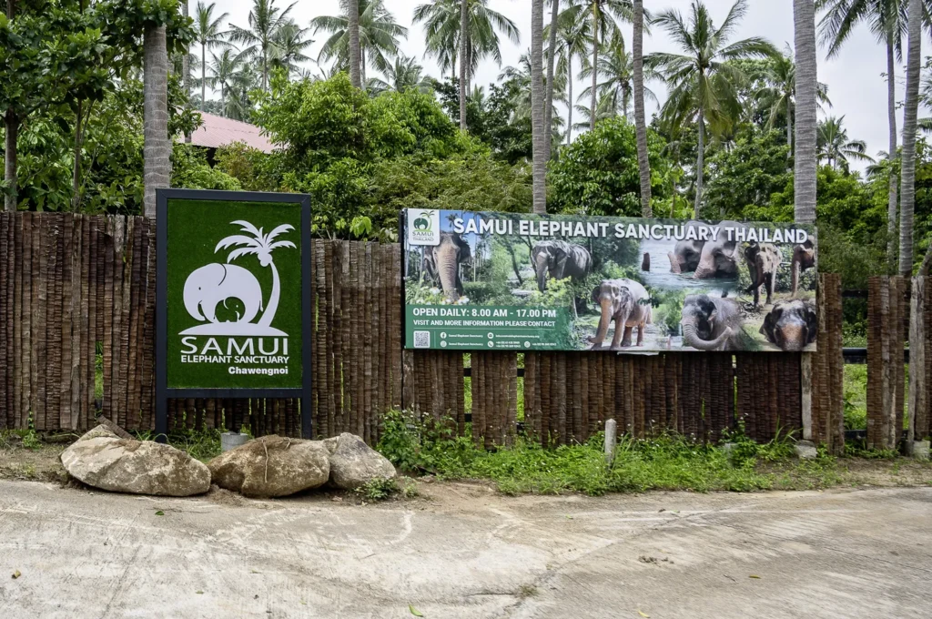 Koh Samui, Samui Elephant Santuary Bophut